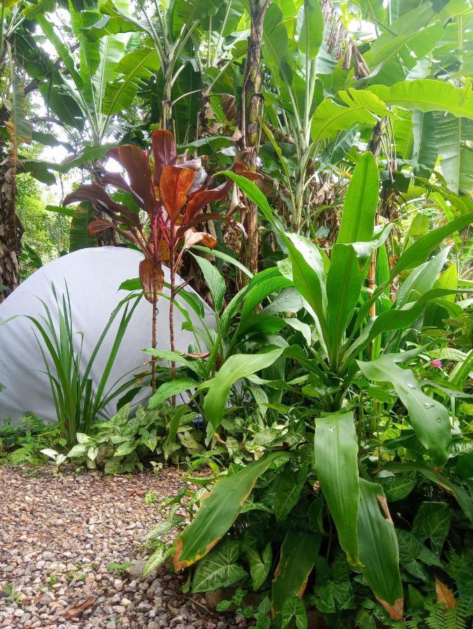 Camping Tropico De Capricornio - Ilhabela Bagian luar foto