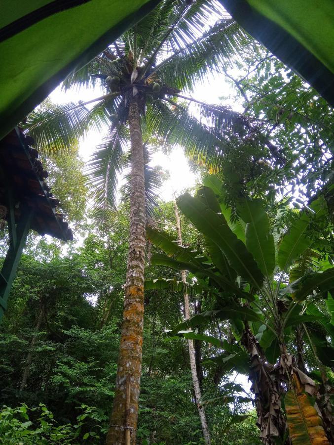 Camping Tropico De Capricornio - Ilhabela Bagian luar foto